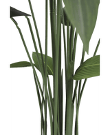 Künstliche Pflanze Heliconia 210 cm