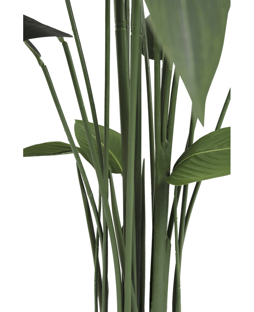 Künstliche Pflanze Heliconia 210 cm