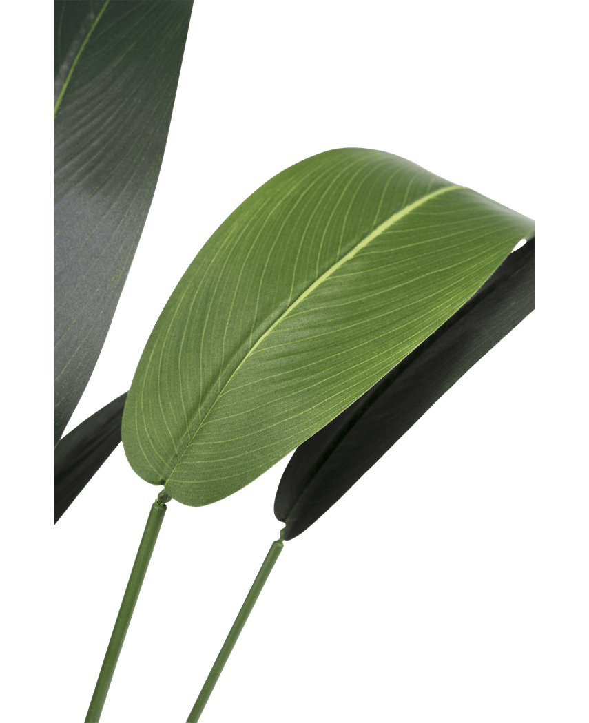 Künstliche Pflanze Heliconia 210 cm