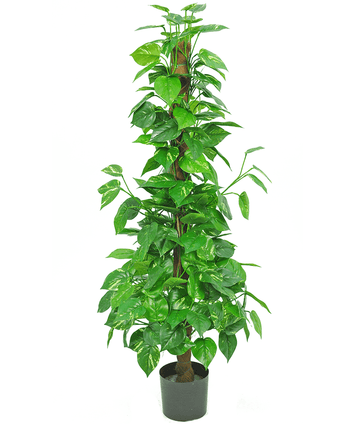 Künstliche Pflanze Pothos 150 cm