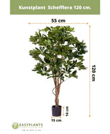 Künstliche Pflanze Schefflera 120 cm.