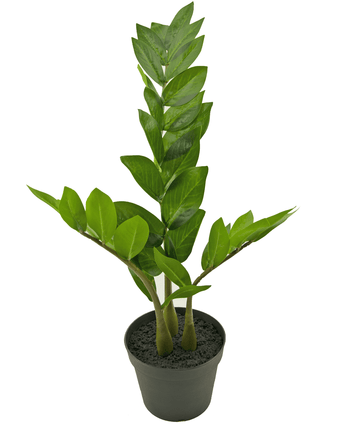 Künstliche Pflanze Zamioculcas 50 cm