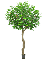 Künstlicher Kaffeebaum 300 cm