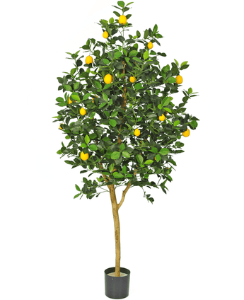 Künstlicher Zitronenbaum 150 cm