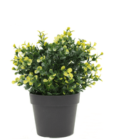 Kunstpflanze Buxus gelb im Topf 19 cm UV