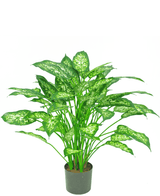 Kunstpflanze Dieffenbachia 75 cm