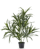 Kunstpflanze Dracaena Reflexa im Topf 63 cm