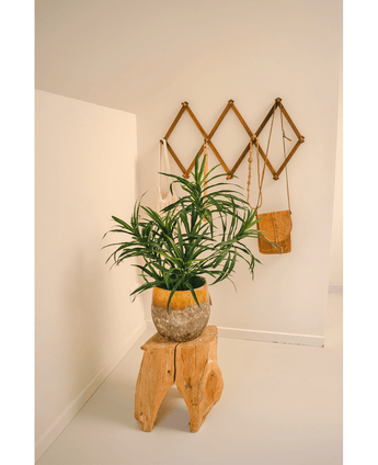 Kunstpflanze Dracaena Reflexa im Topf 63 cm