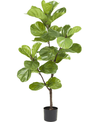 Kunstpflanze Ficus Tobacco Plant Deluxe 125 cm