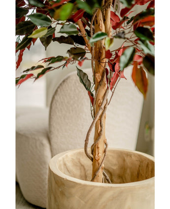 Kunstpflanze Ficus grün/rot 150 cm