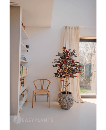 Kunstpflanze Ficus grün/rot 150 cm