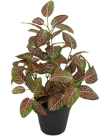 Kunstpflanze Fittonia Rot im Topf 35cm