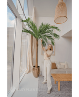 Palme XL Deluxe 270 cm